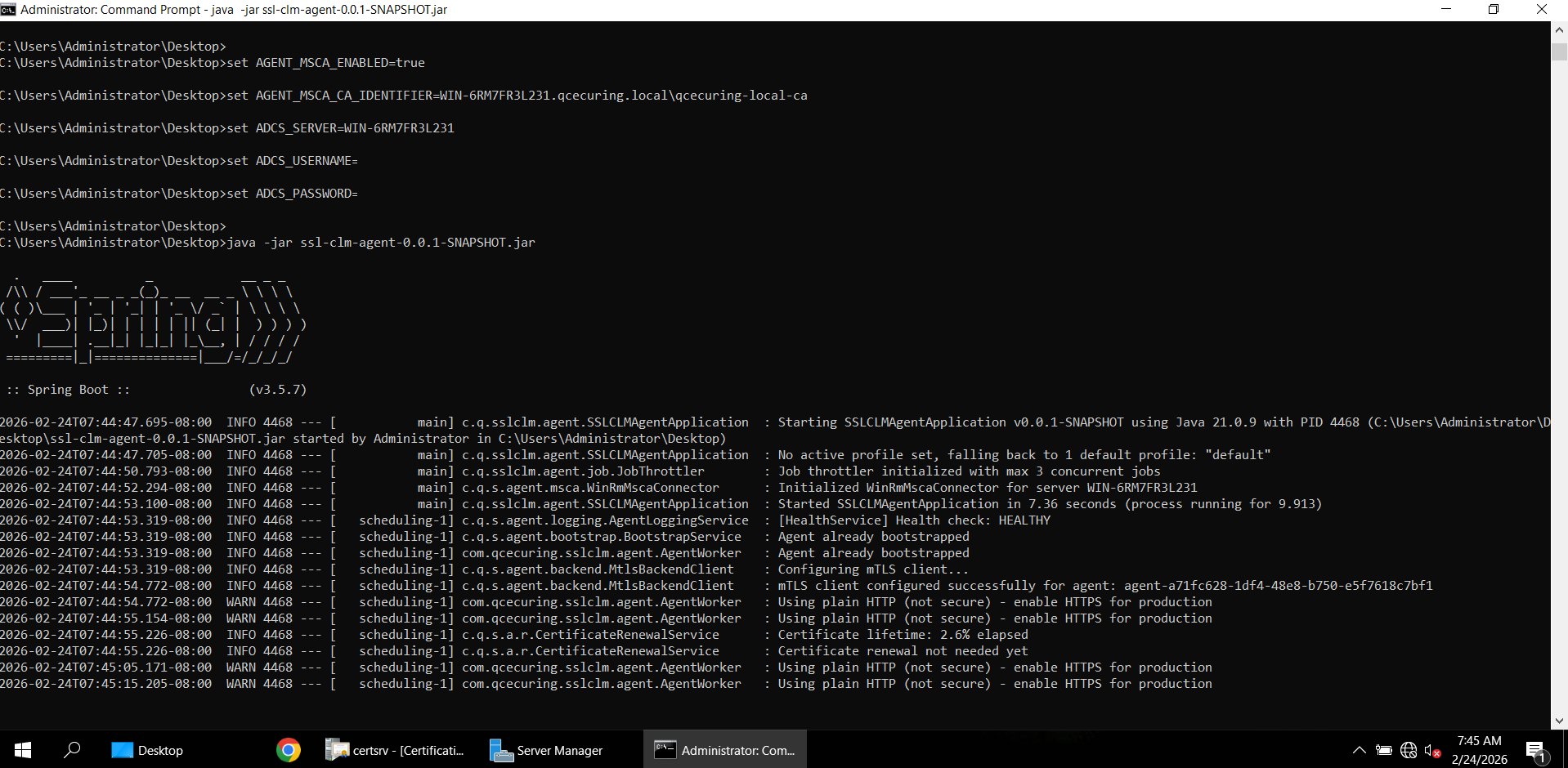 Windows Agent Launch